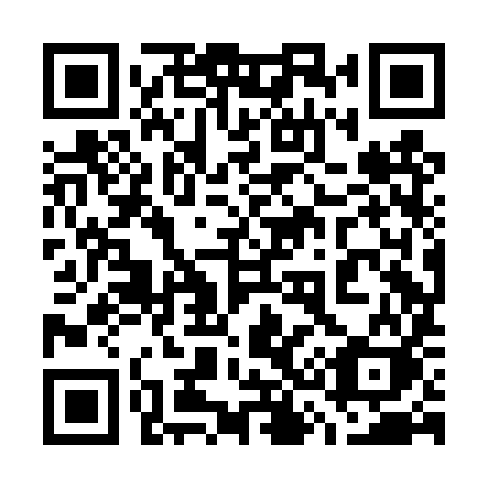 QR code for plate 738 DYK