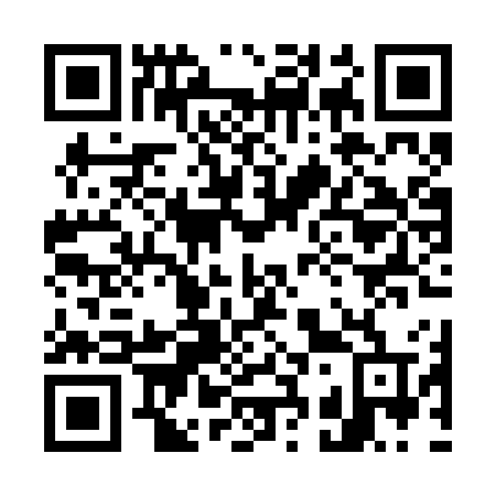 QR code for plate 738 RWT
