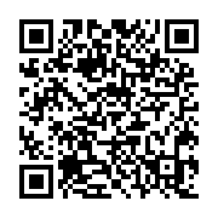 QR code for plate 745 INK
