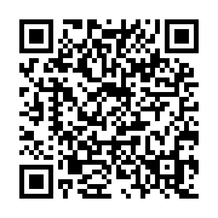 QR code for 747 ICO