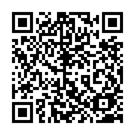 QR code for plate 789 OIE