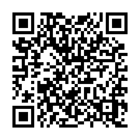 QR code for plate 804 RIZ
