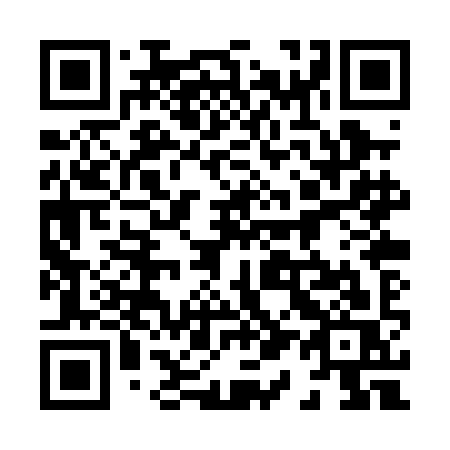 QR code for 810PIS