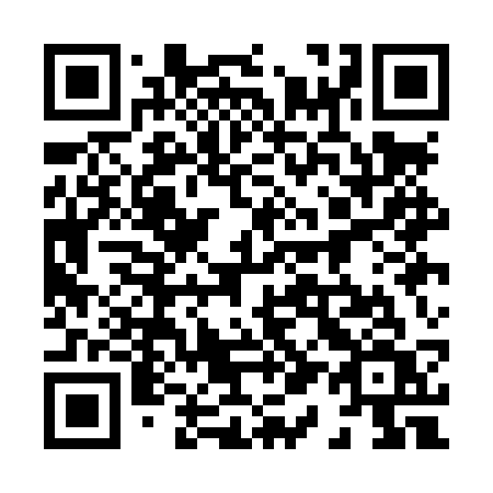 QR code for 811 LSV