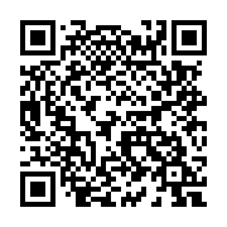 QR code for plate 813 MSG