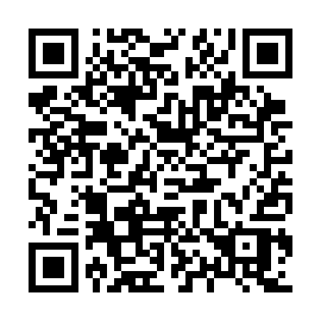 QR code for plate 813 SAR