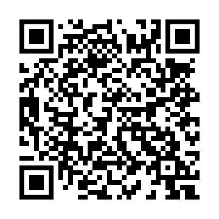 QR code for 817 LSG