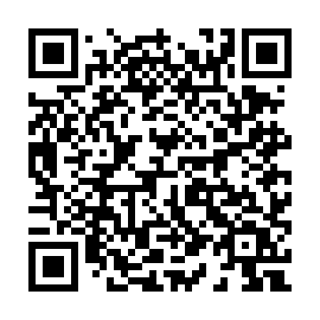 QR code for plate 817 DHT