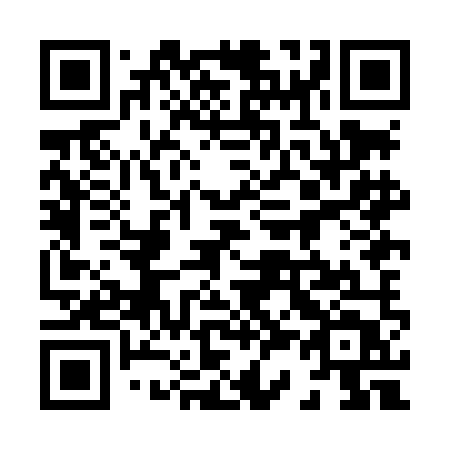 QR code for plate 838 LMT