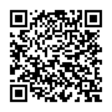 QR code for plate 838 NYP