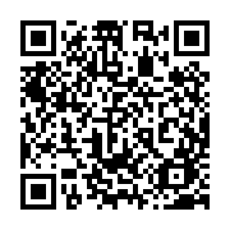 QR code for 850PUB