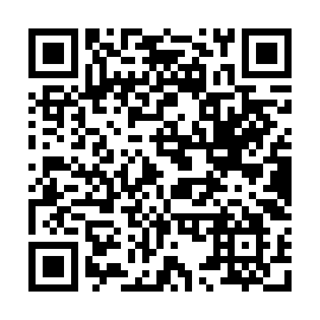 QR code for plate 851 VKO