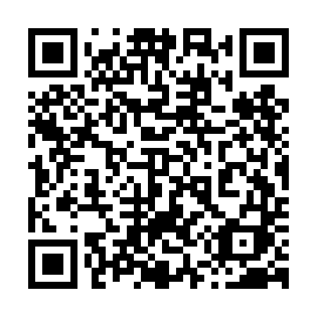 QR code for plate 853 DDI