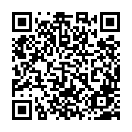QR code for plate 858 UDV