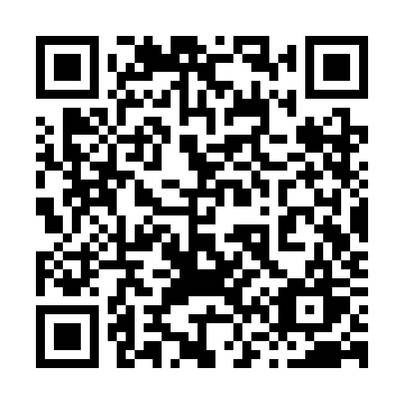 QR code for plate 863 SKW
