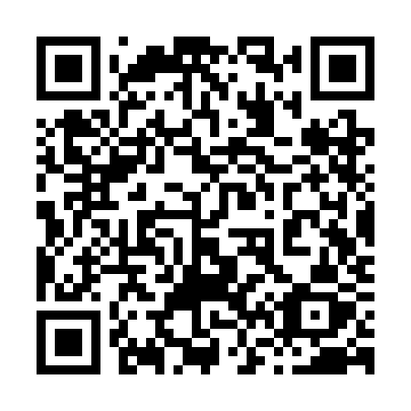 QR code for plate 863 SKZ