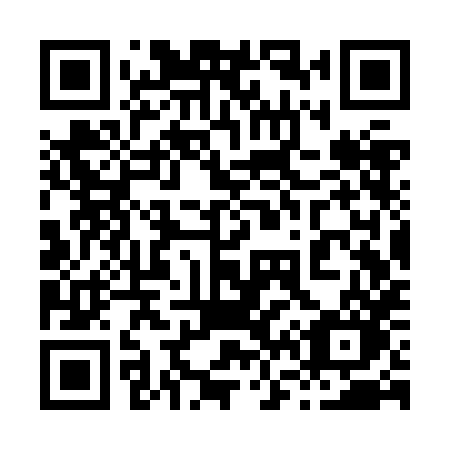 QR code for plate 863 ZHO