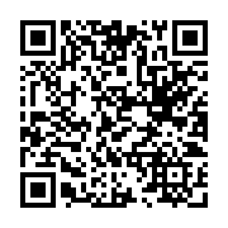 QR code for plate 868 BZF
