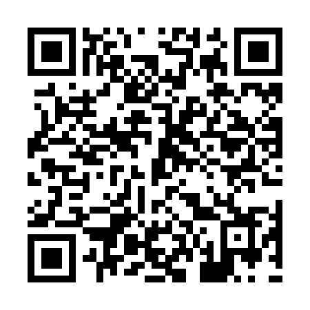 QR code for plate 868 ZMZ