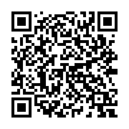 QR code for 869 QSR