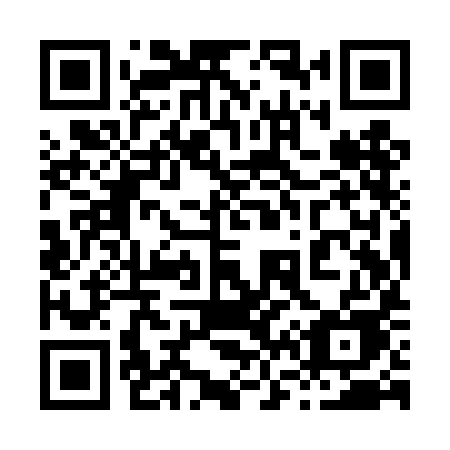 QR code for 869TIE