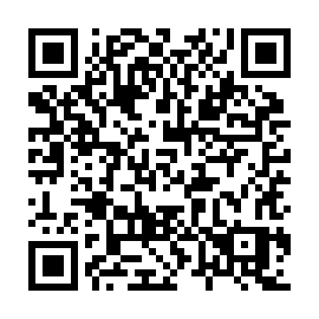 QR code for plate 869 ZHS
