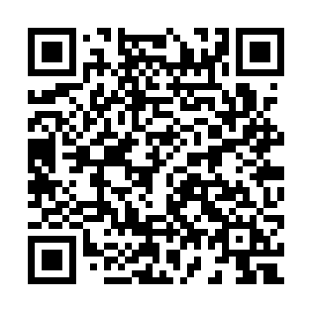 QR code for plate 873 QZH