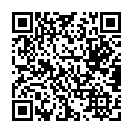 QR code for plate 875 SOL