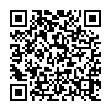 QR code for plate 876 PIZ