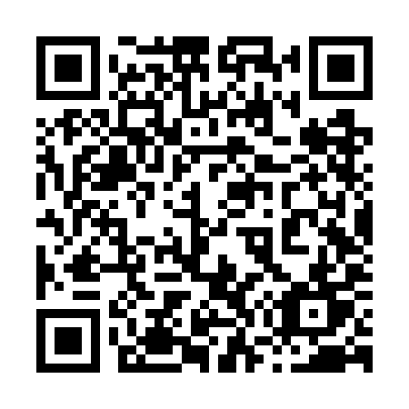 QR code for plate 876 WIT