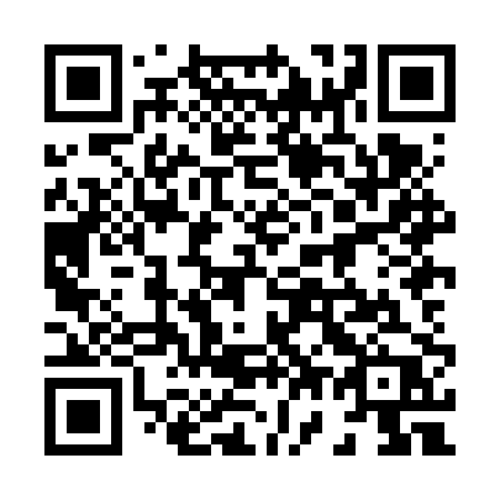 QR code for plate 878 FPP