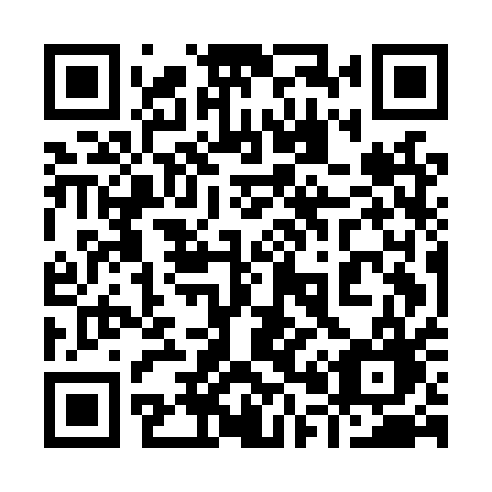 QR code for plate 905 LQG