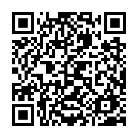 QR code for plate 910 WSG