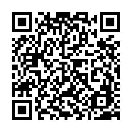 QR code for plate 913 MFB