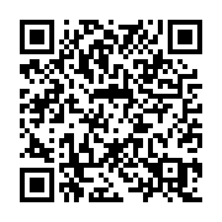 QR code for plate 913 PPA