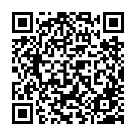 QR code for plate 913 WNV