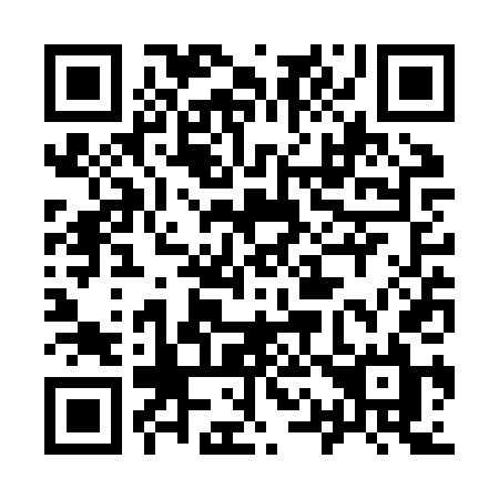 QR code for plate 913 ZTL