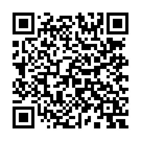 QR code for plate 915 LFX