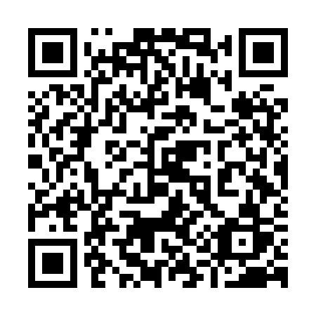 QR code for plate 916 HSR