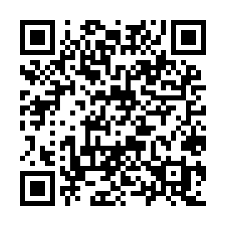 QR code for 917 ILI