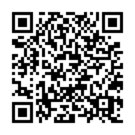 QR code for 917 VNT