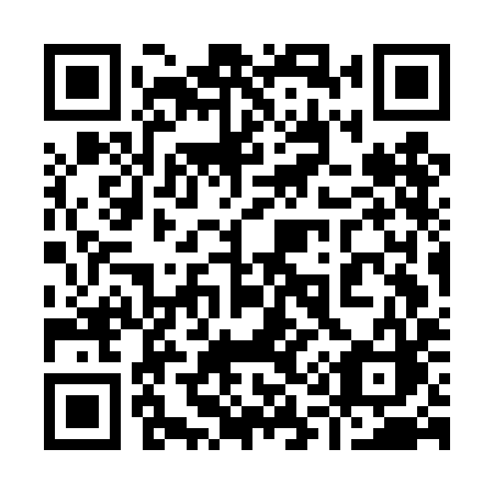 QR code for plate 917 DIC