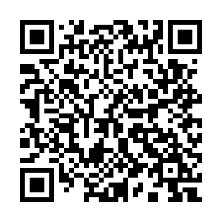 QR code for plate 917 EPM