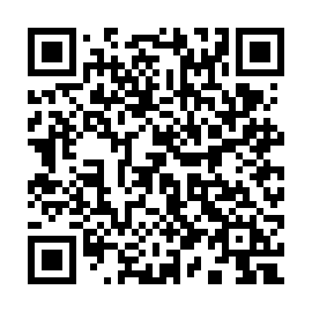 QR code for plate 917 FBH