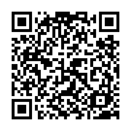 QR code for plate 917 GFM