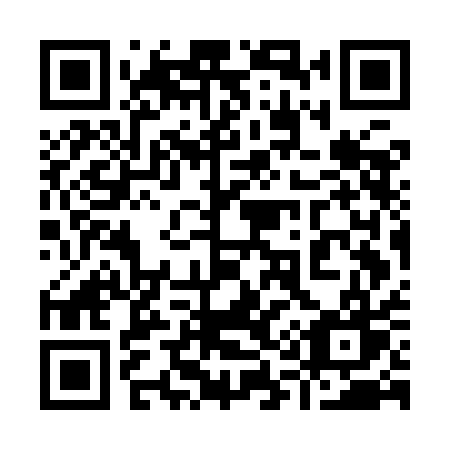 QR code for plate 917 IAW