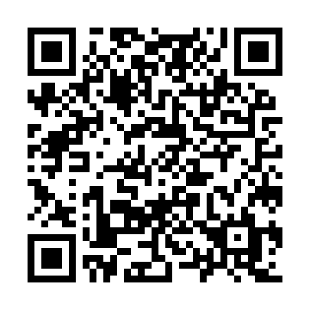 QR code for plate 917 IZL