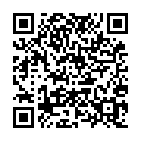 QR code for plate 917 OEM
