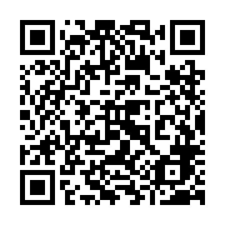 QR code for plate 917 SLB
