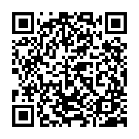 QR code for 919 AMS